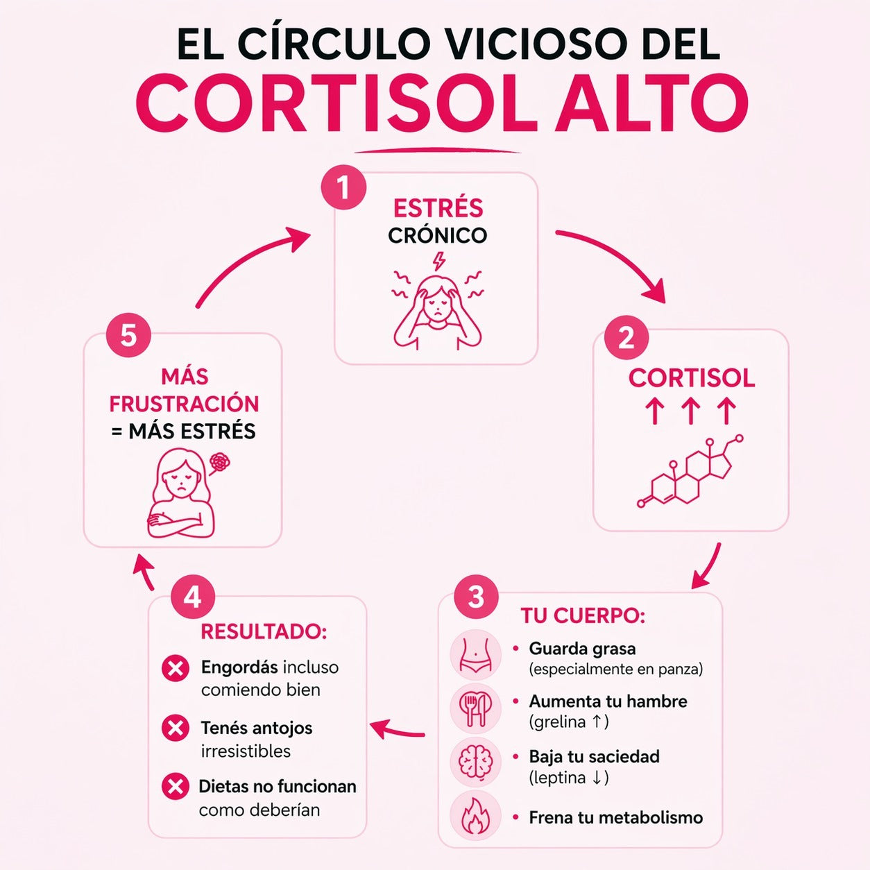AnexoLab Serenil - Reduce el Cortisol y el estrés
